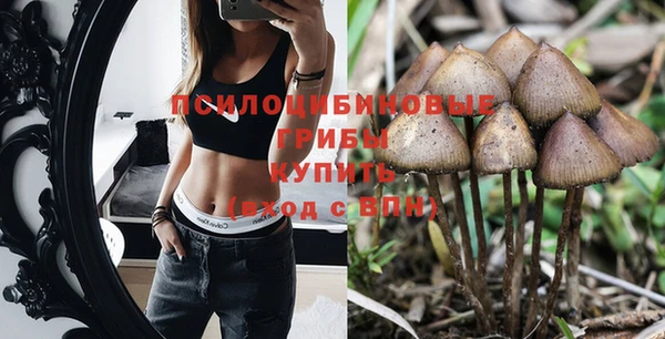 синтетический гашиш Лабытнанги