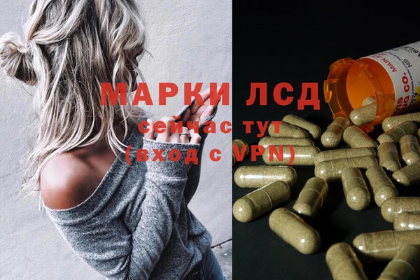spice Верхний Тагил