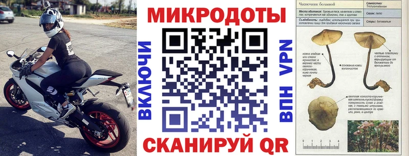 Псилоцибиновые грибы Cubensis  мега маркетплейс  Мантурово  наркошоп 